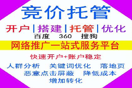 某电商平台sem竞价运营的突破与挑战